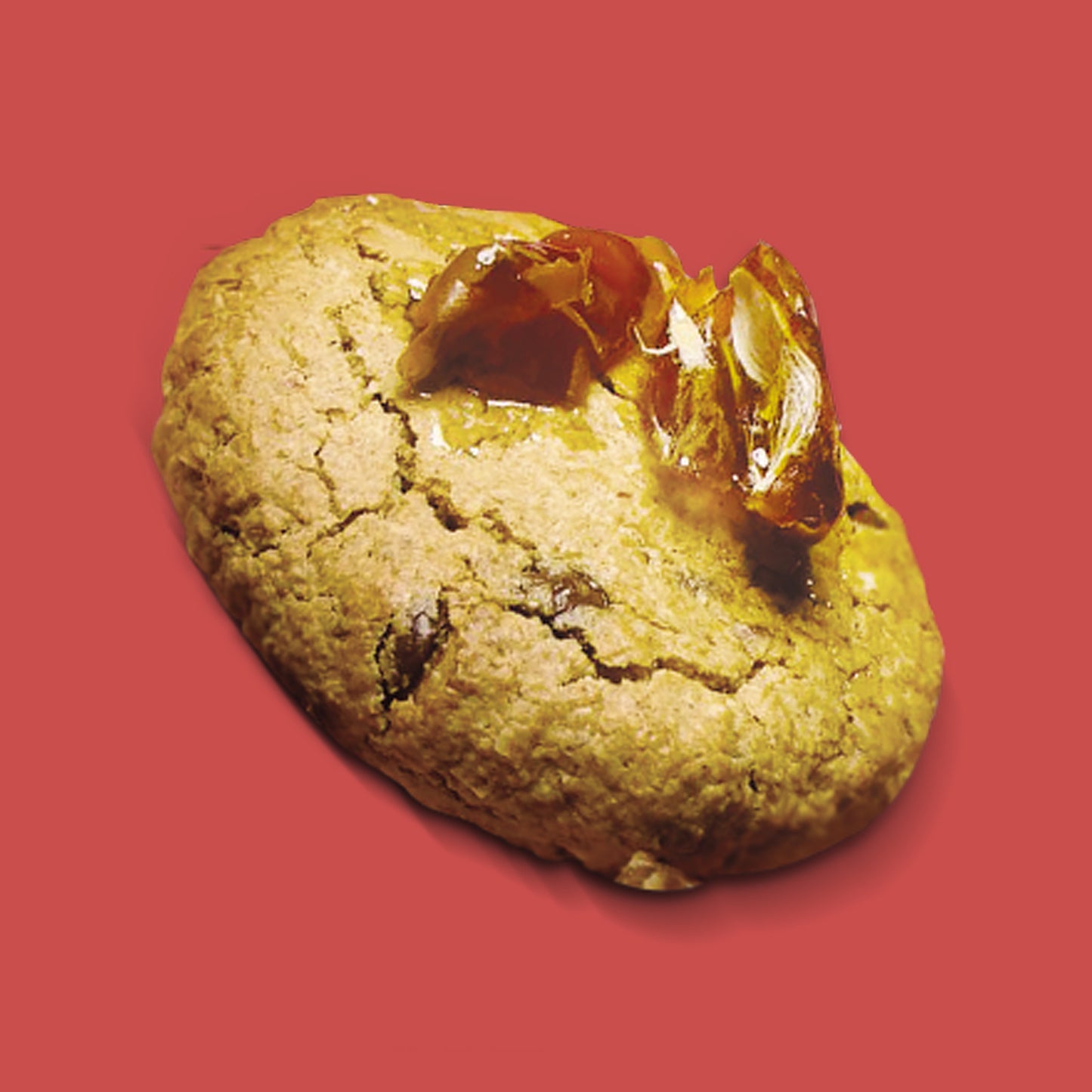 REGULAR COOKIES 65g / BOX